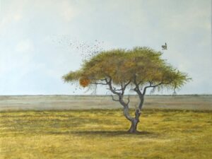 Johann vd Merwe - 003